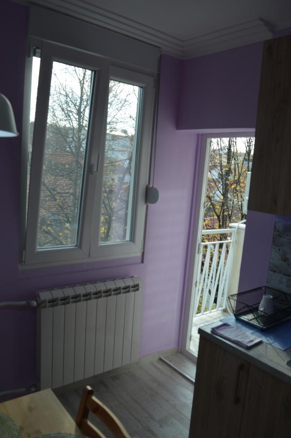 Apartman Gloria 2 Beograd Eksteriør billede